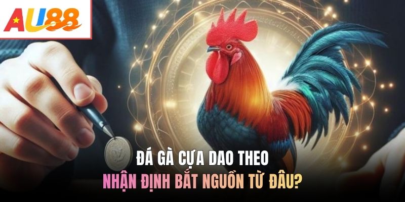 Đá gà cựa dao theo nhận định bắt nguồn từ đâu?