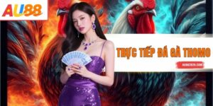 Trực Tiếp Đá Gà Thomo